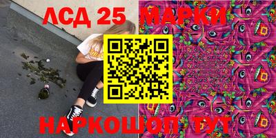 СК Краснознаменск