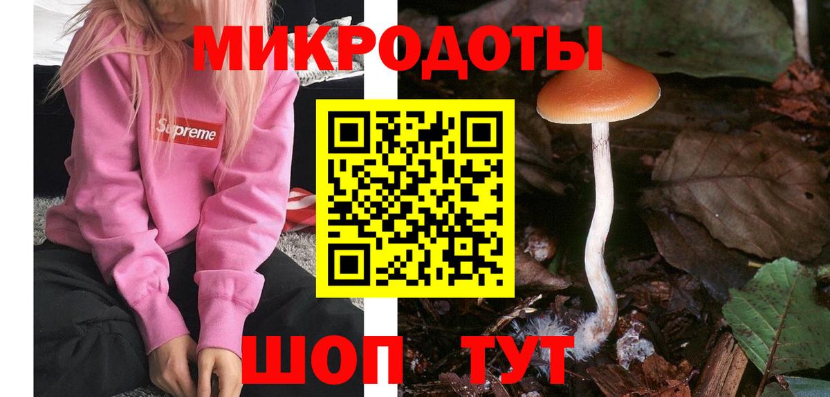 Касимов  купить закладку  Псилоцибиновые грибы Psilocybine cubensis  Вход с VPN  Псилоцибиновые грибы Magic Shrooms 